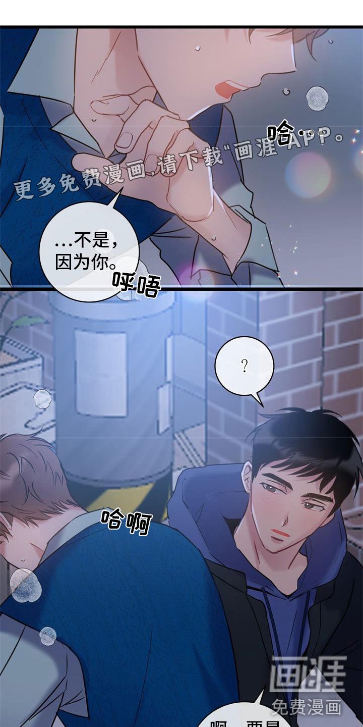 第15章：交往吧
