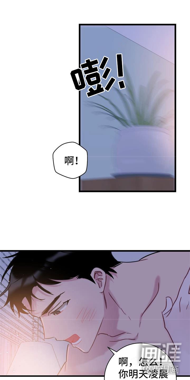 第16章：理解