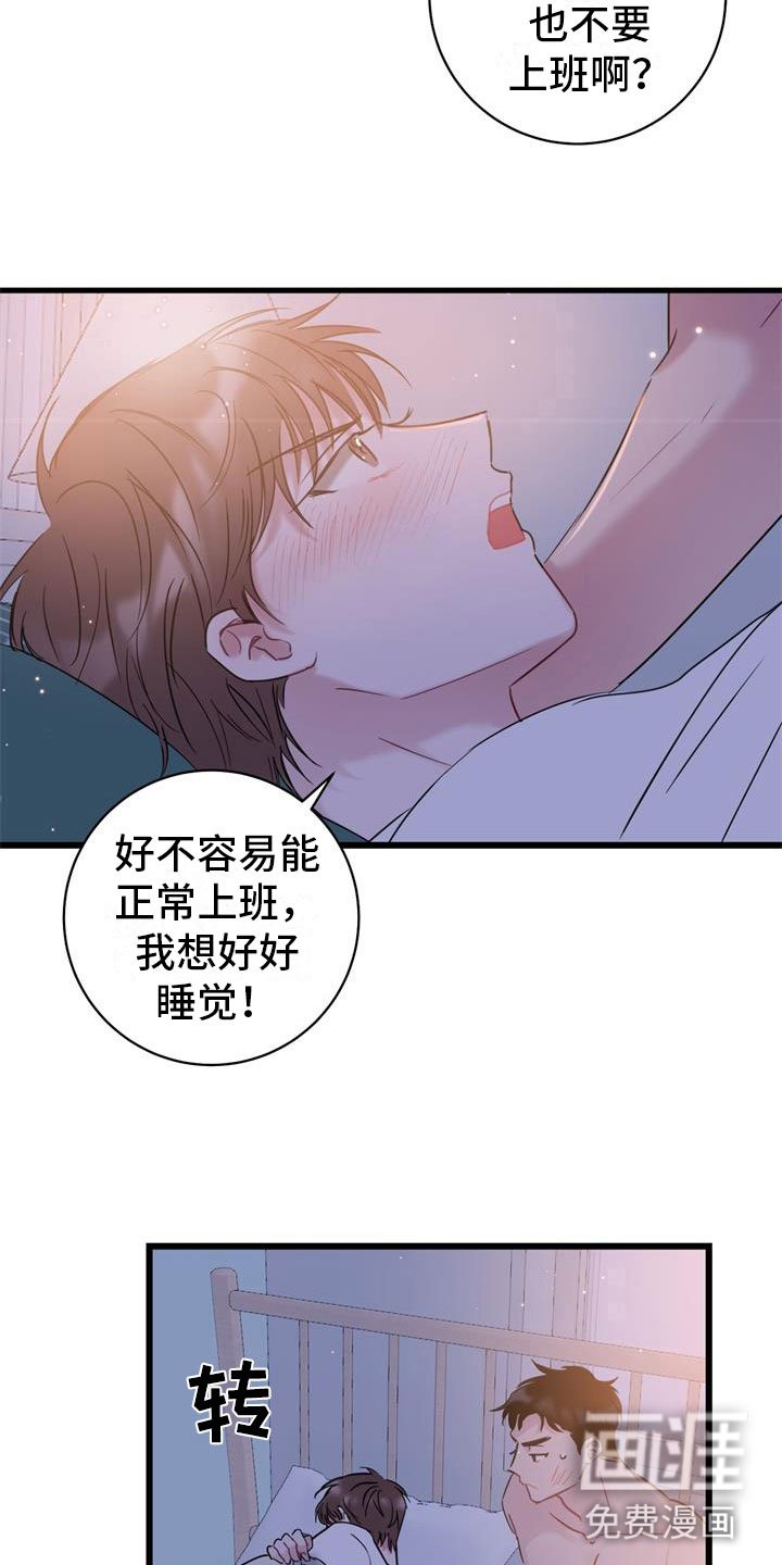 第16章：理解