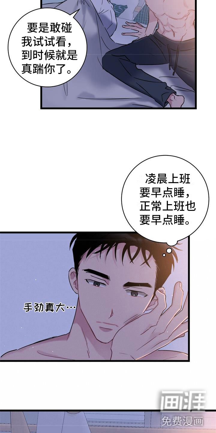 第16章：理解