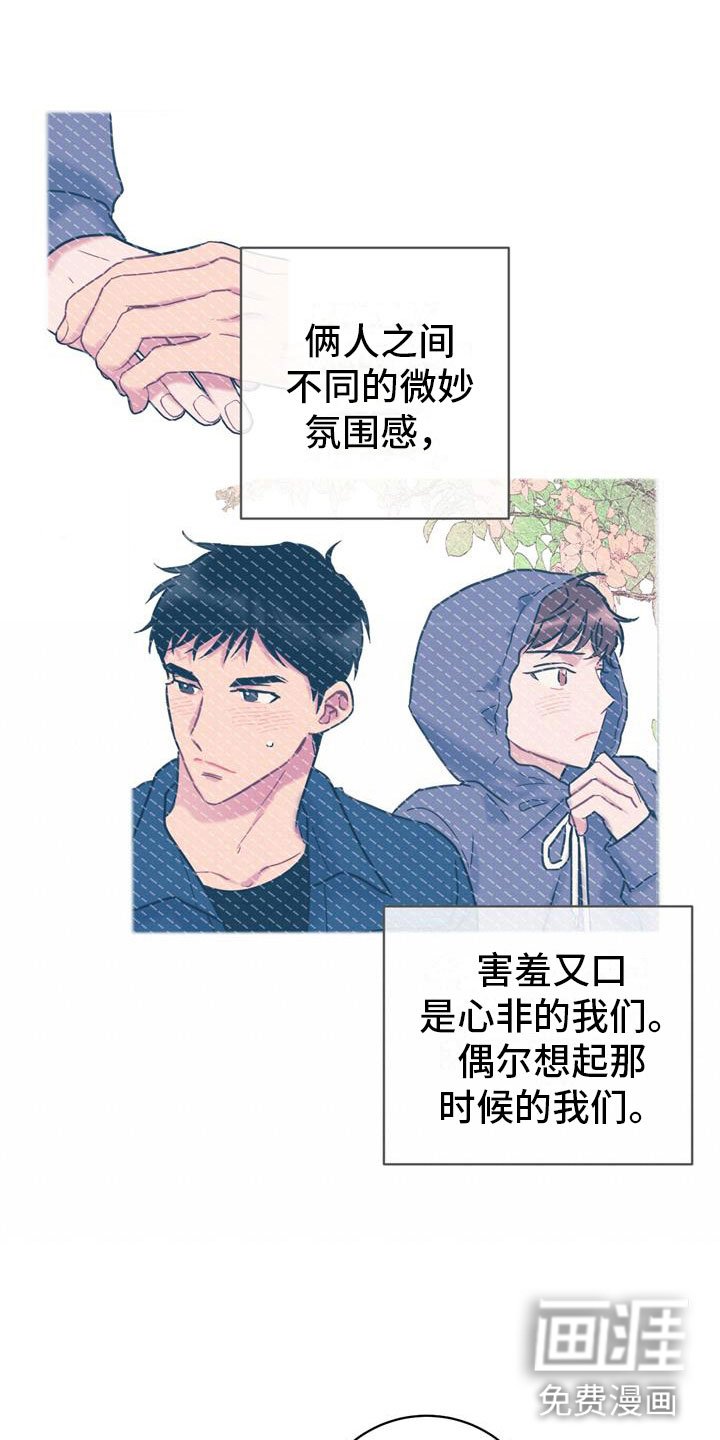 第16章：理解