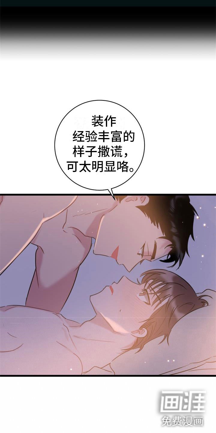 第21章：新婚生活