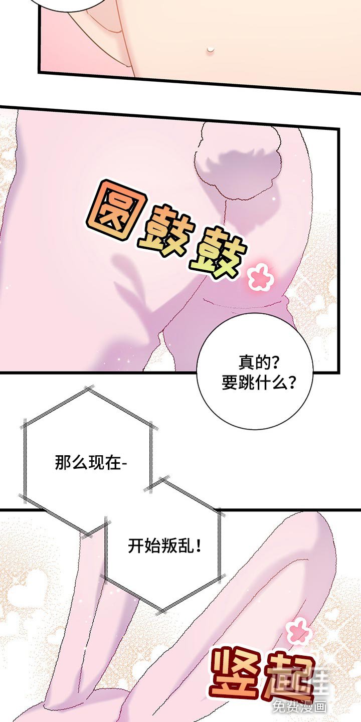 第30章：可爱的小动物们