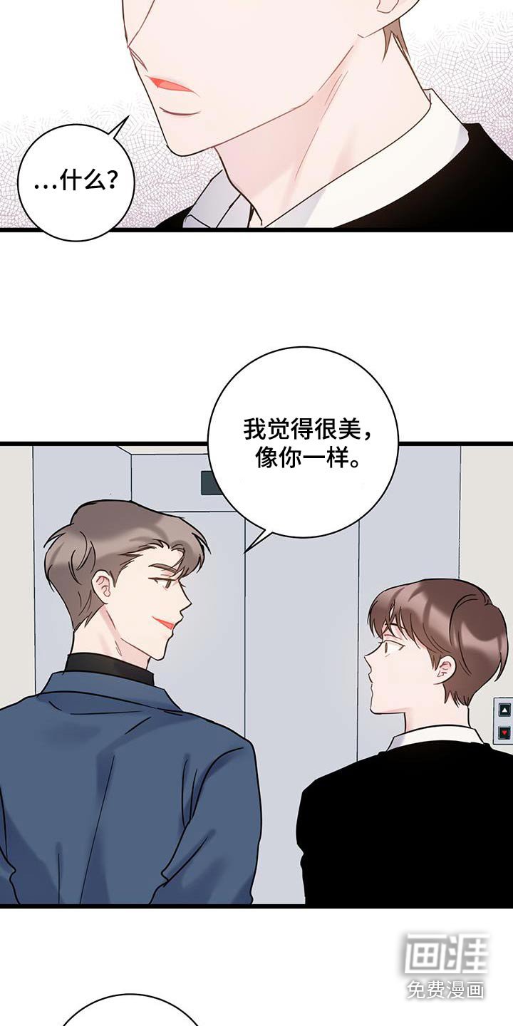 第55章：道歉