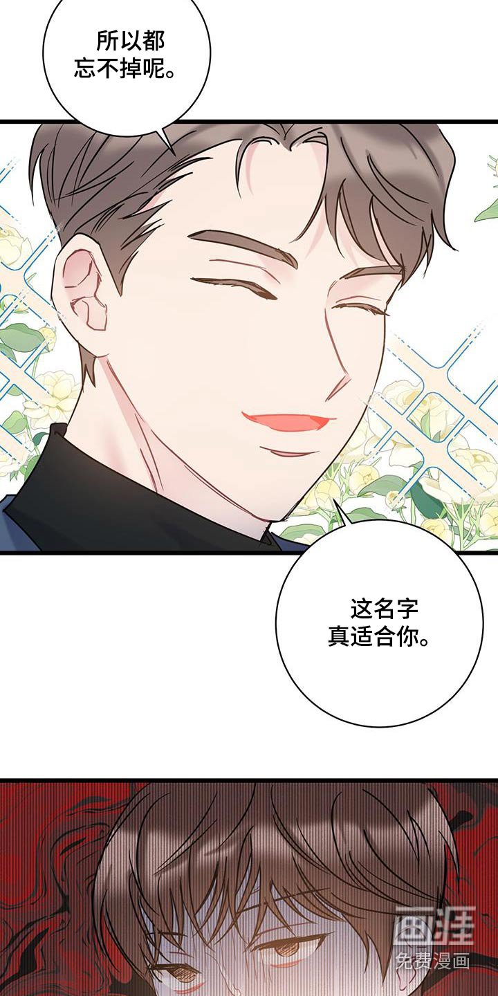 第55章：道歉
