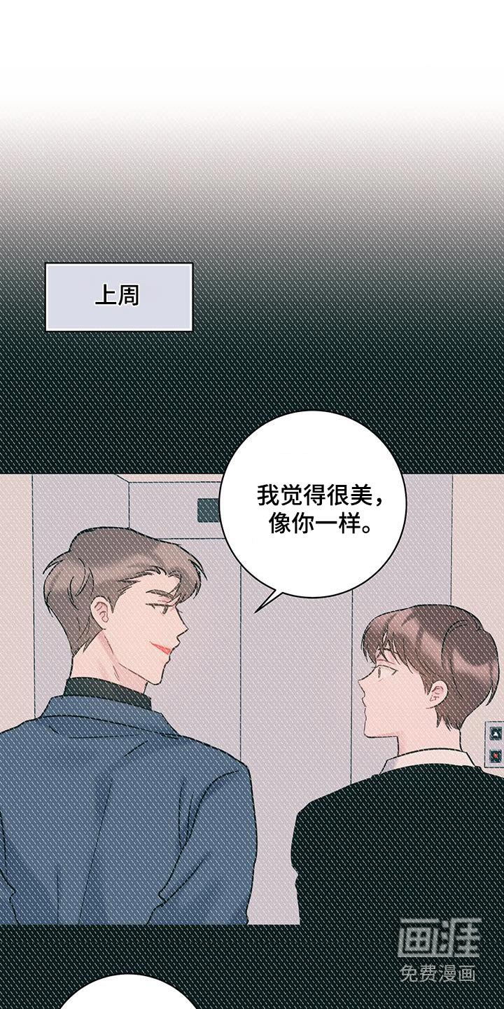 第56章：善良