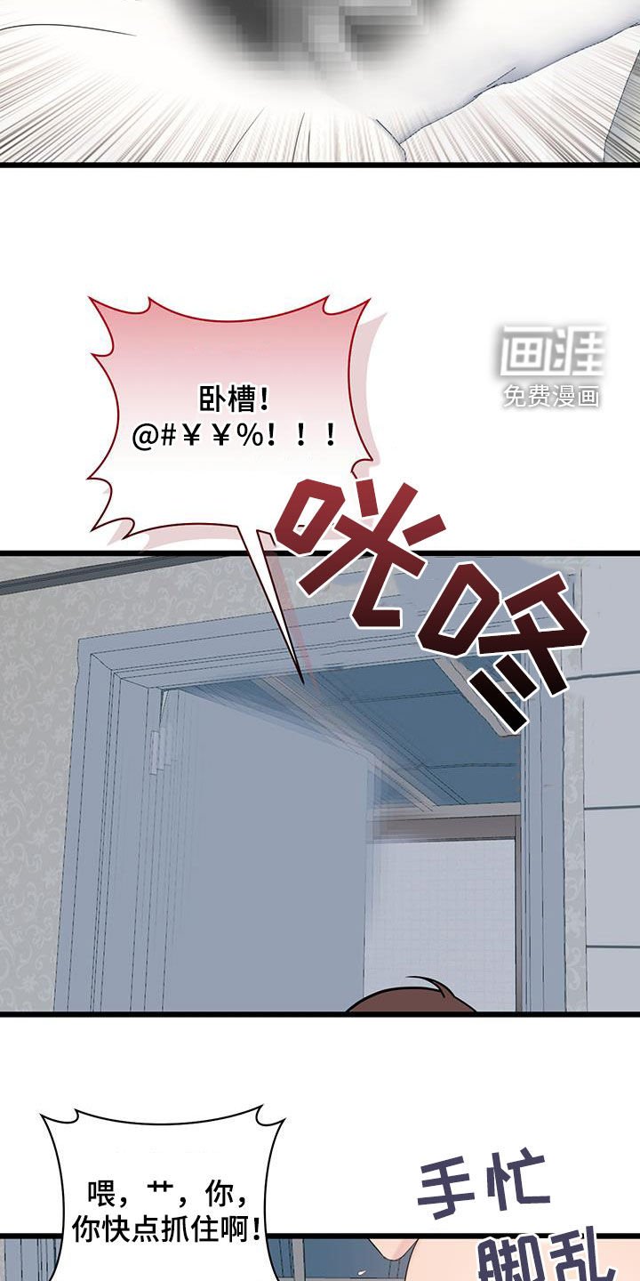 第95章：【第二季】蜘蛛