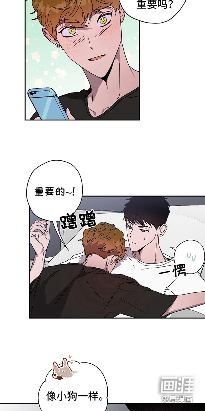 第15章：撒娇