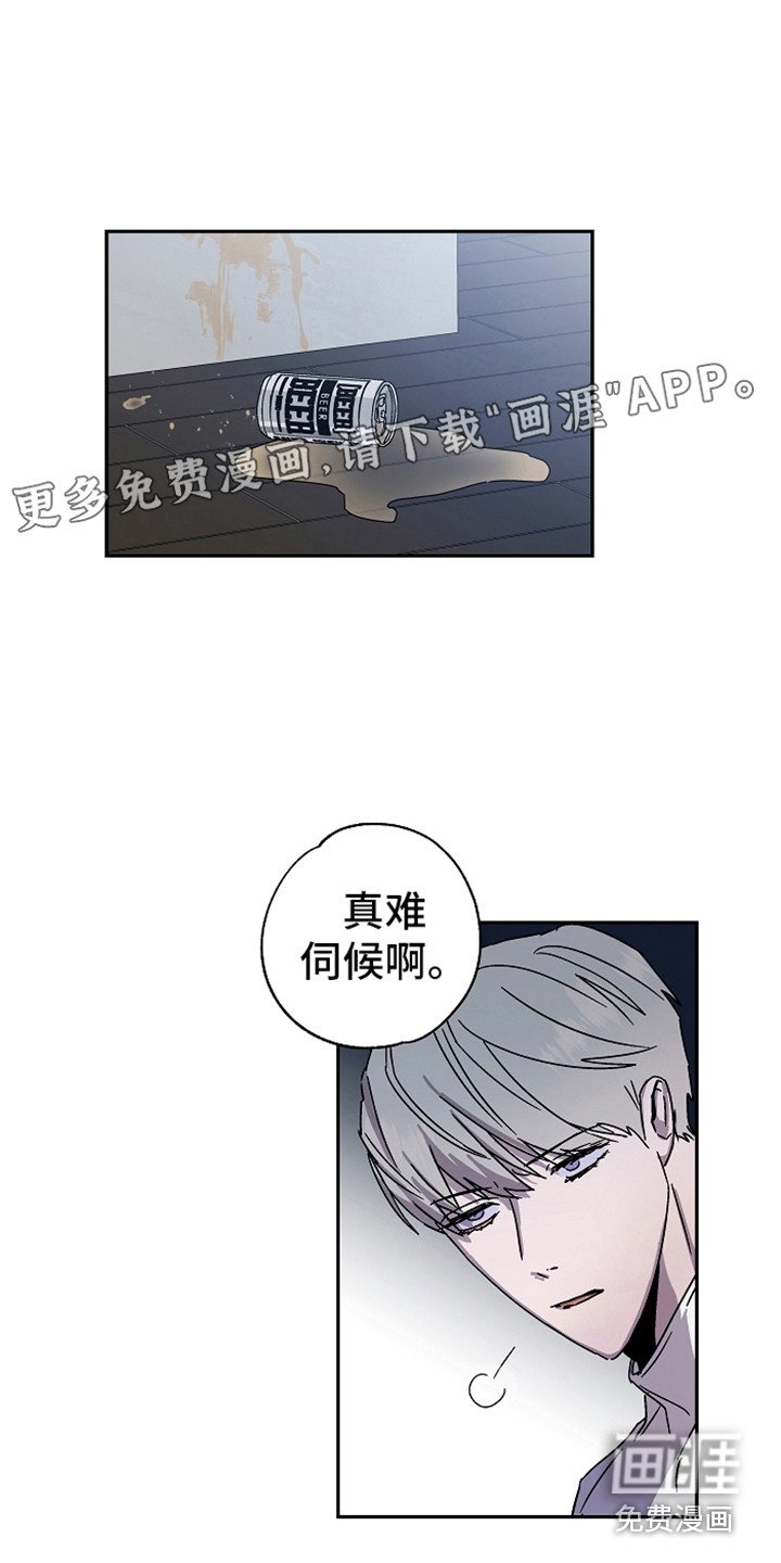 第18章：说正事