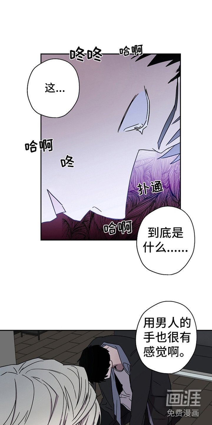 第19章：还没完呢