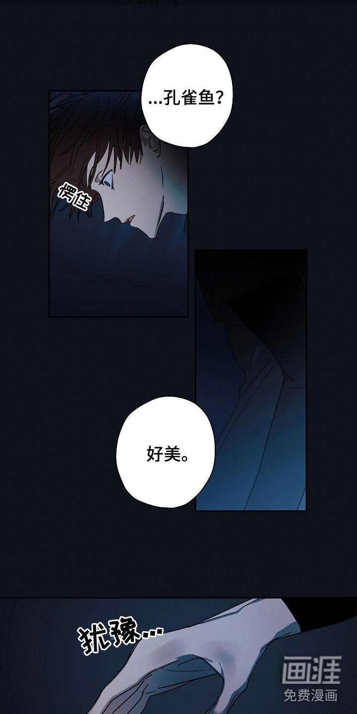 第23章：救援