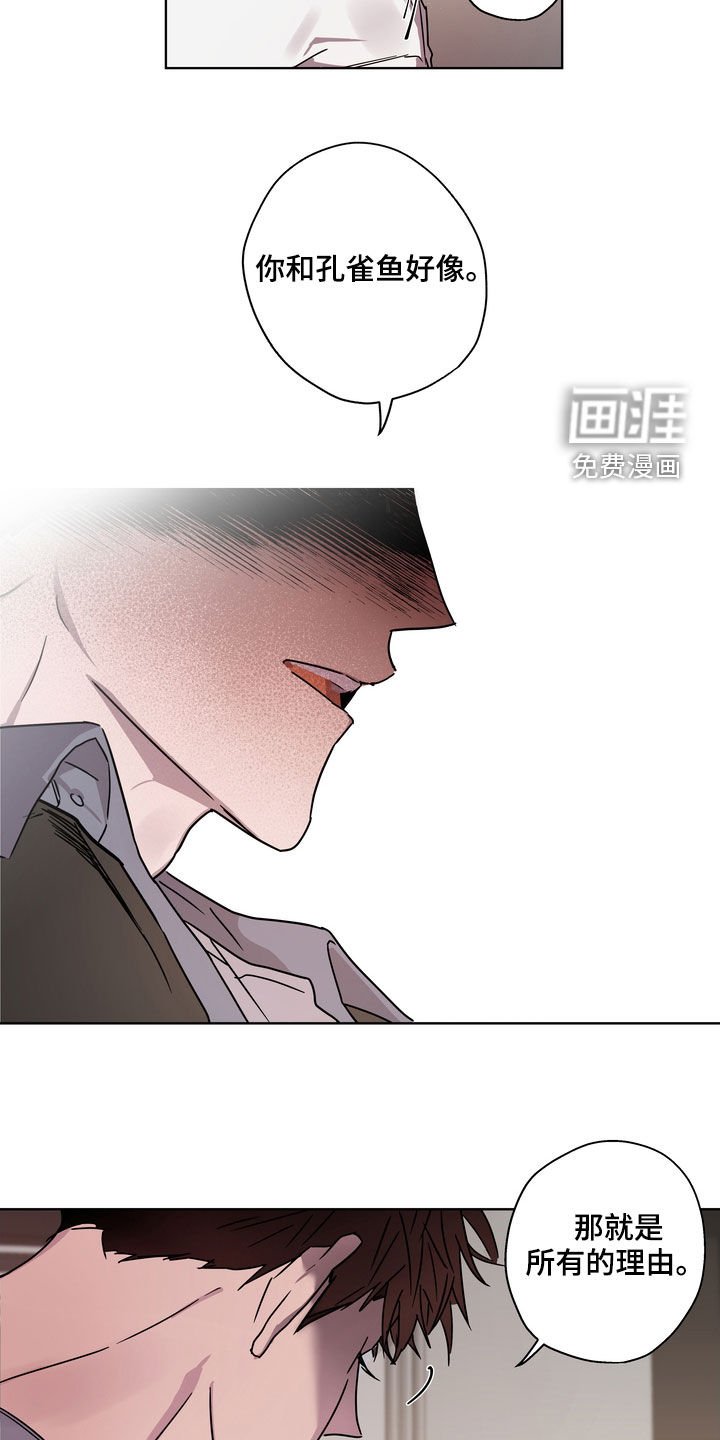第25章：理由
