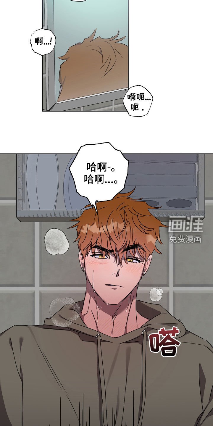 第37章：沦陷