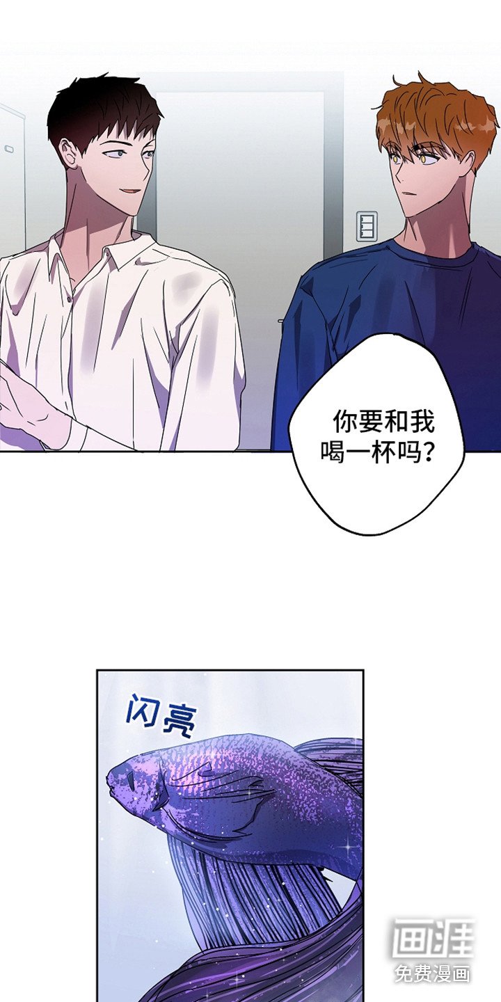 第4章：倾诉