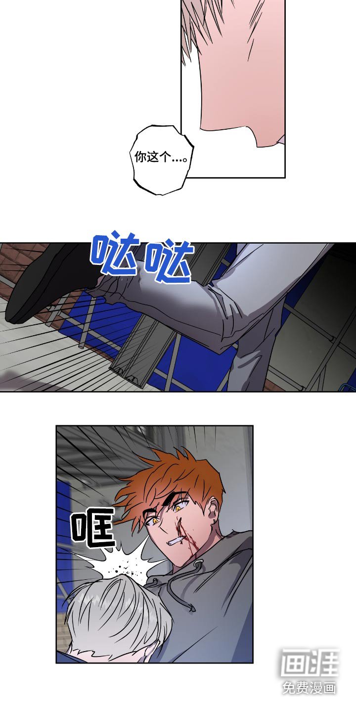 第56章：选择