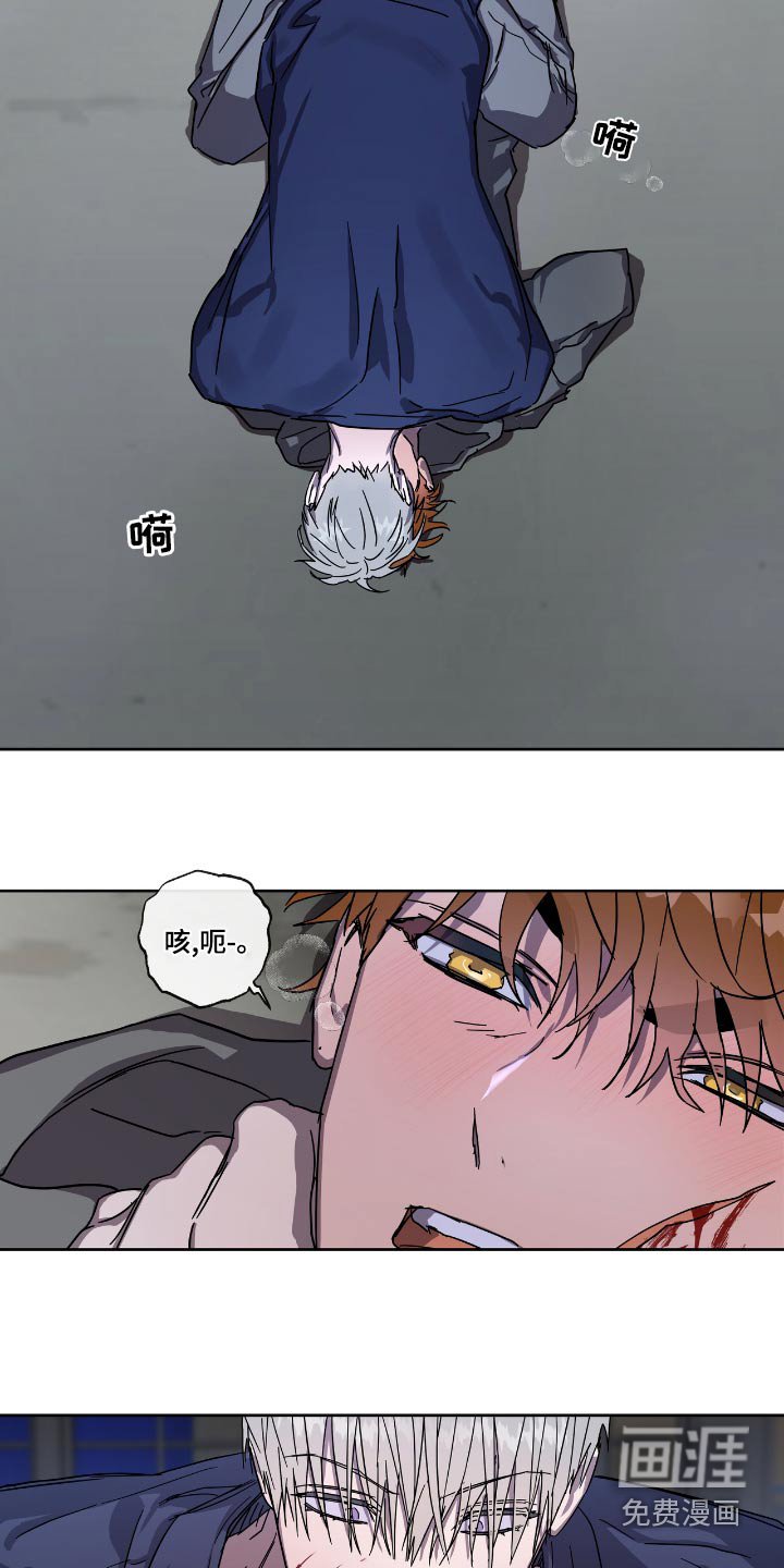 第56章：选择