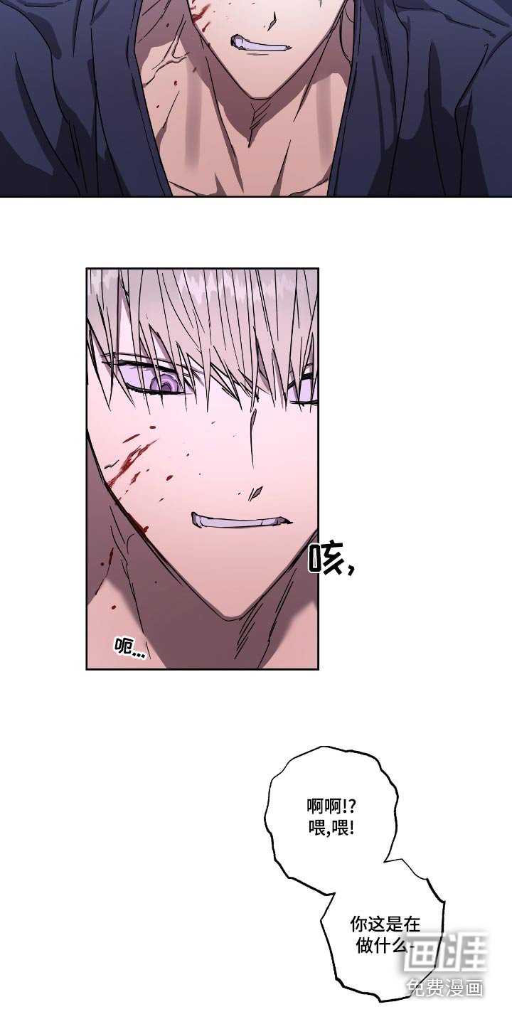 第56章：选择