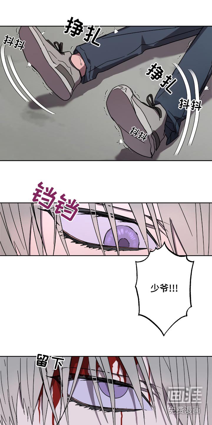 第56章：选择