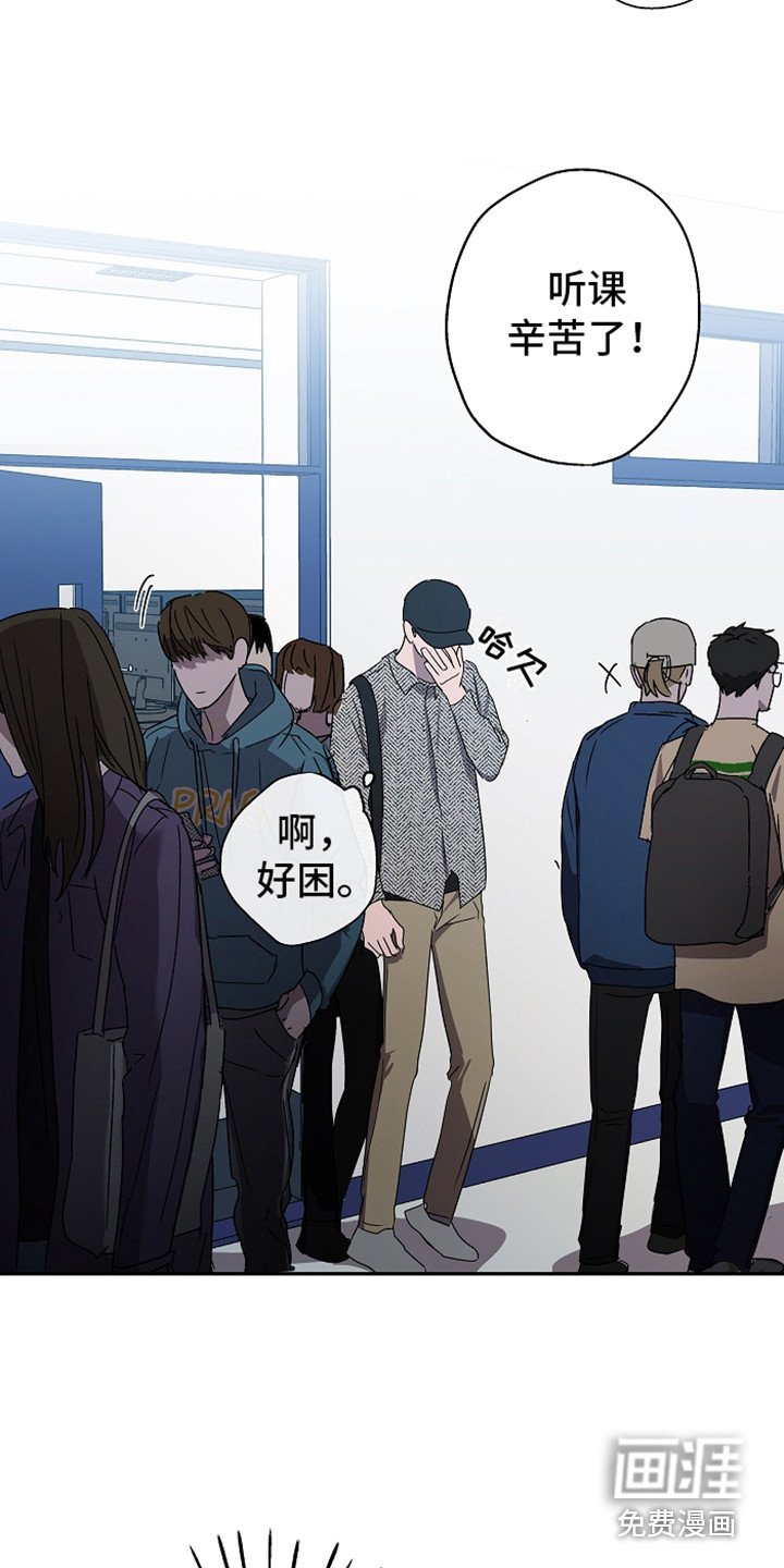 第6章：聊聊吧