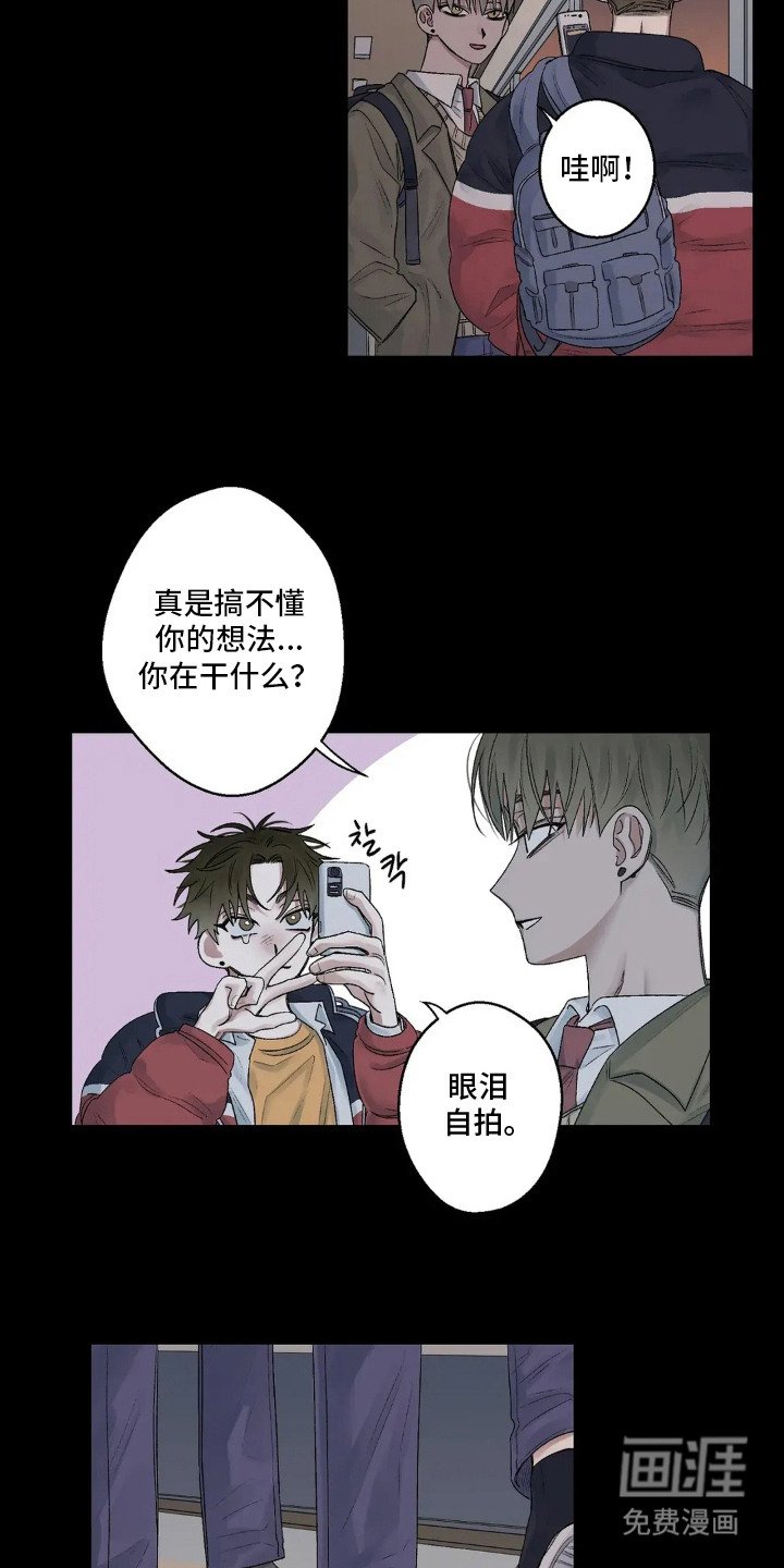 第14章：分手