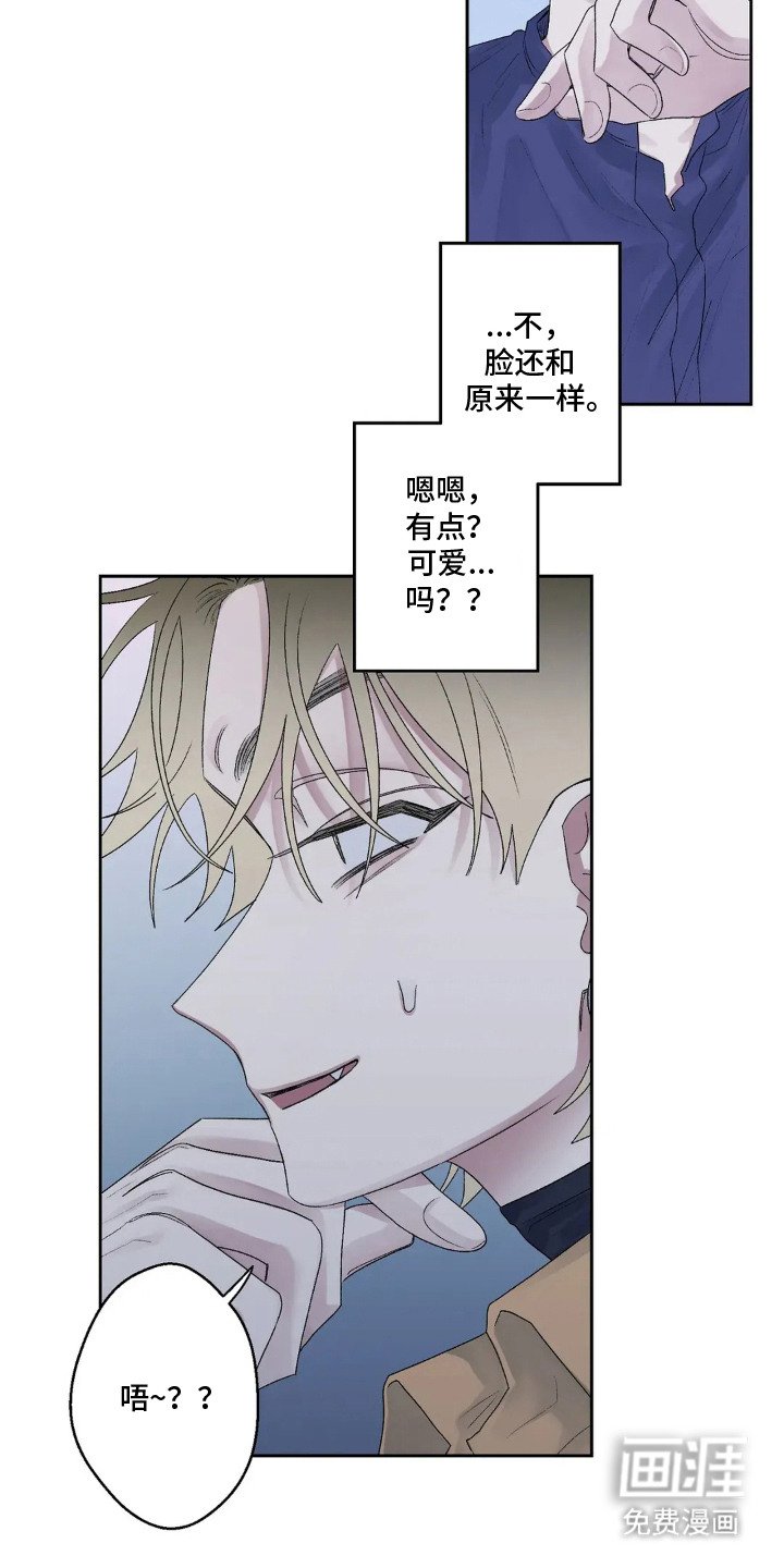 第17章：还算顺利