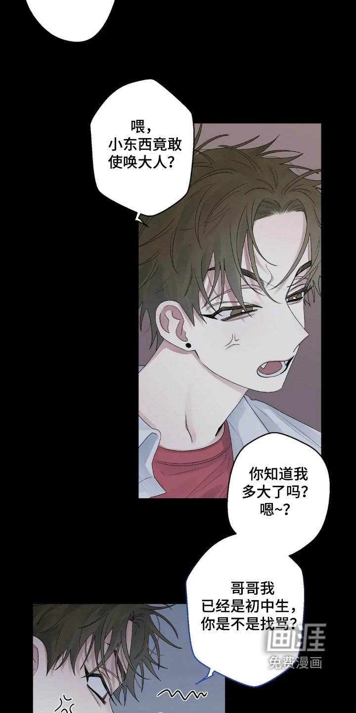 第20章：送我回家