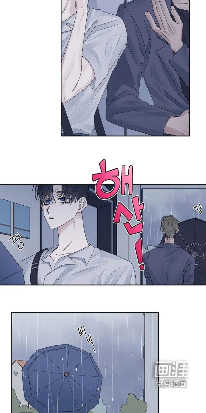 第26章：我们快回家