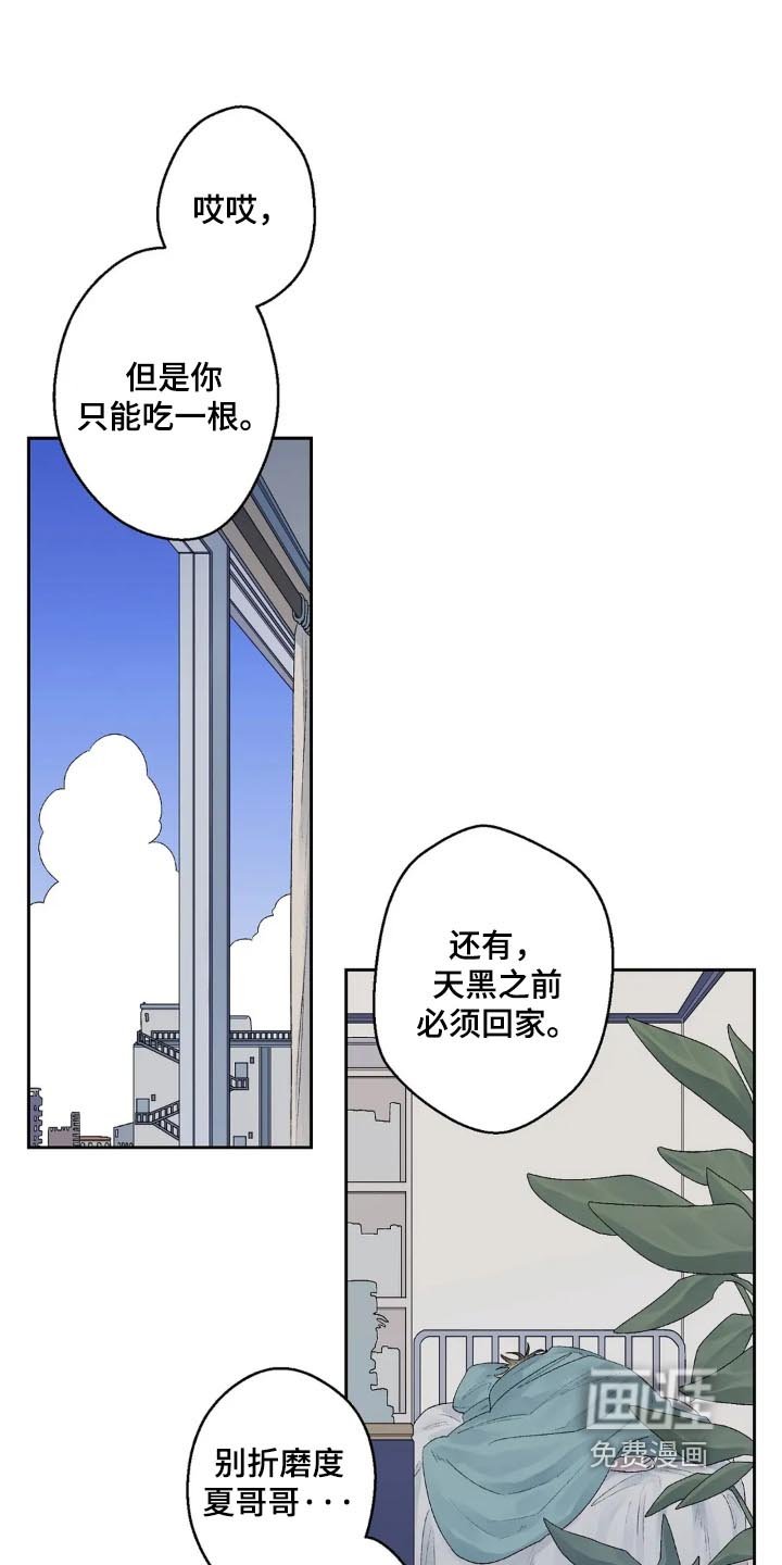 第27章：香蕉口味