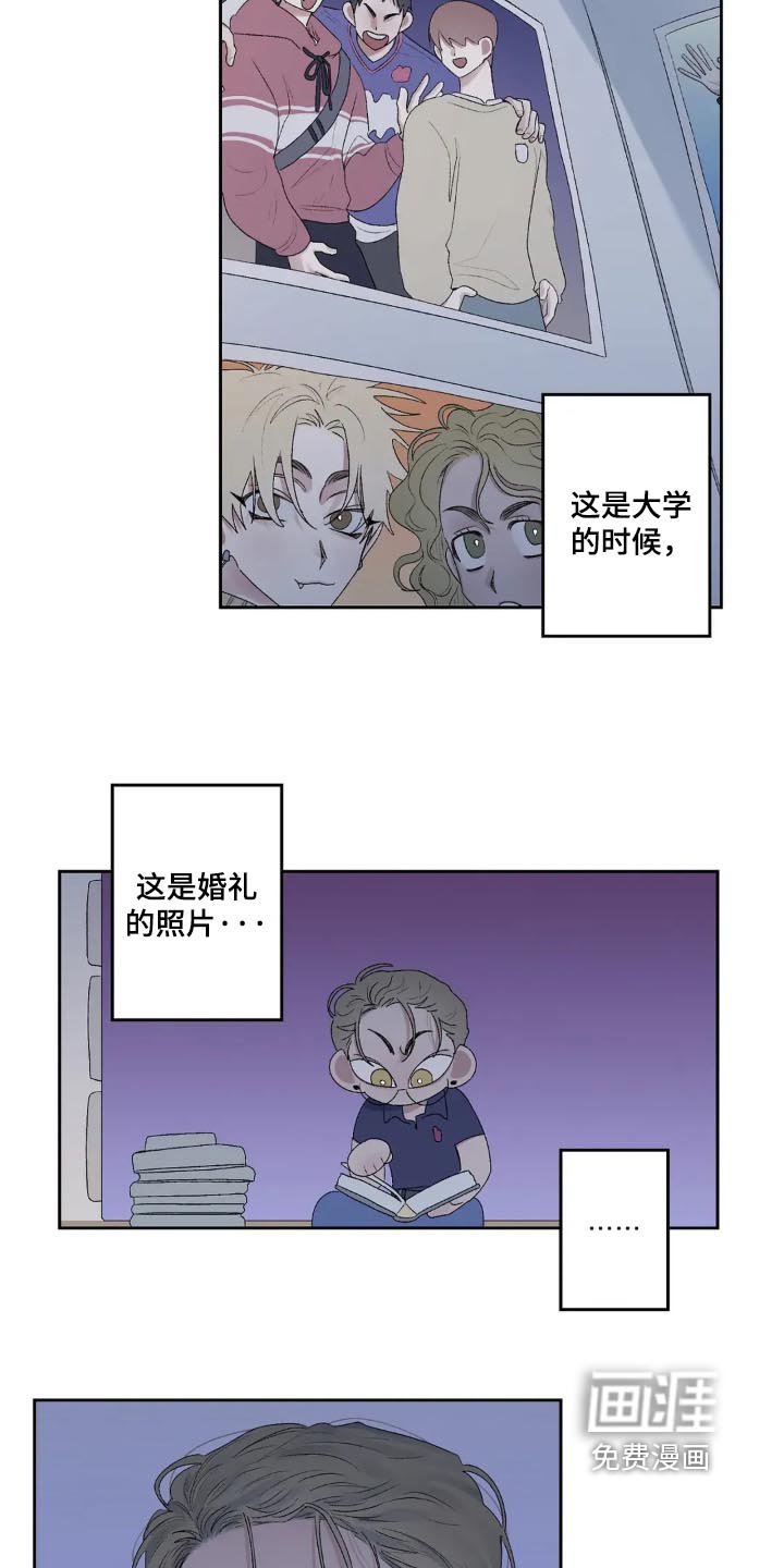第28章：合照