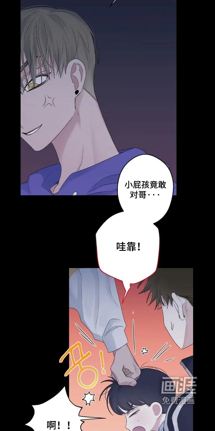 第28章：合照