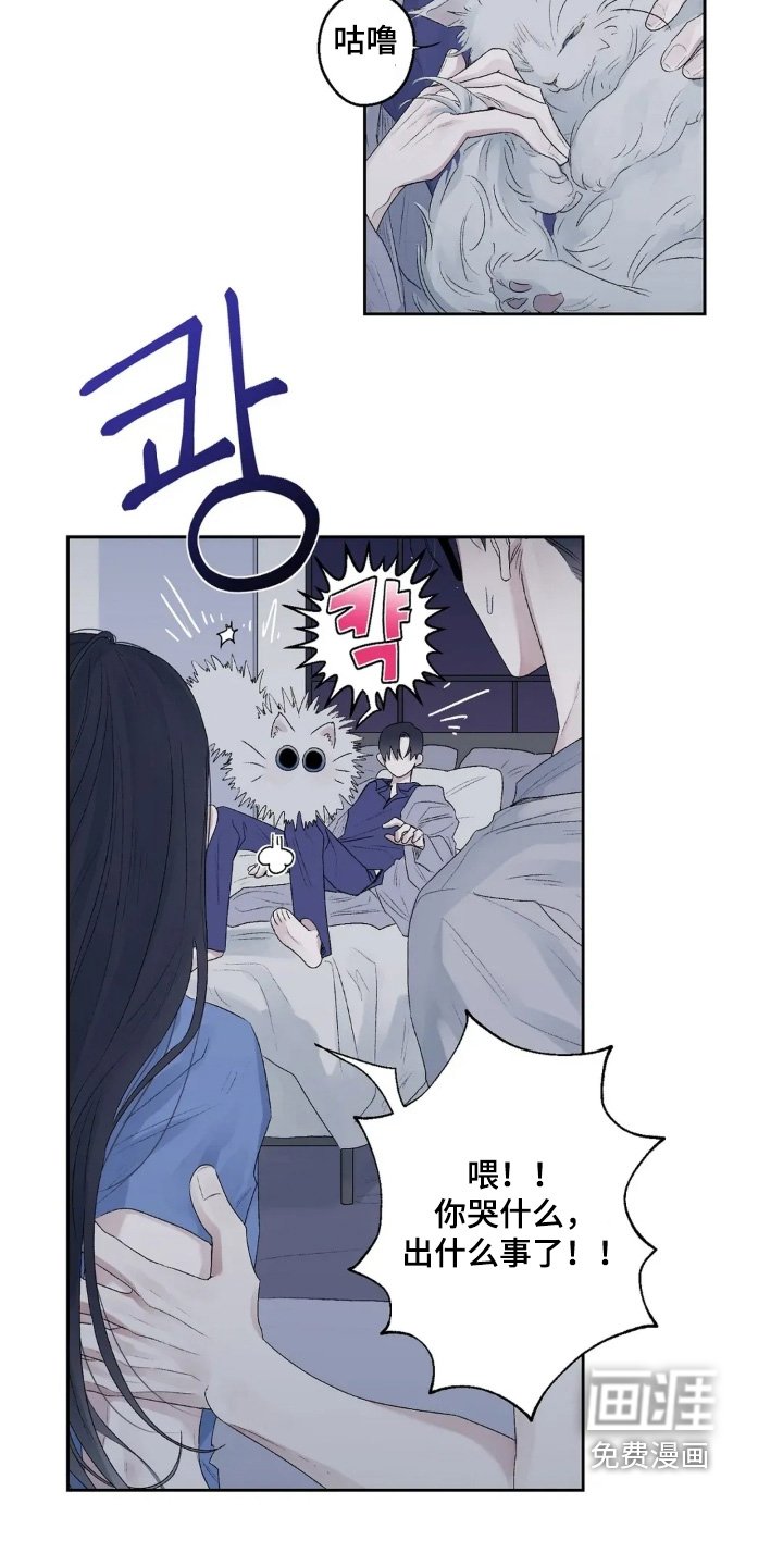 第35章：先道歉