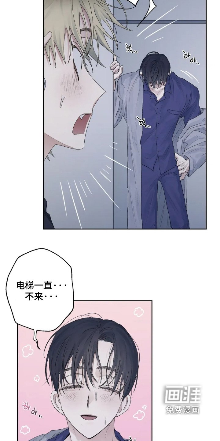 第38章：有话要说