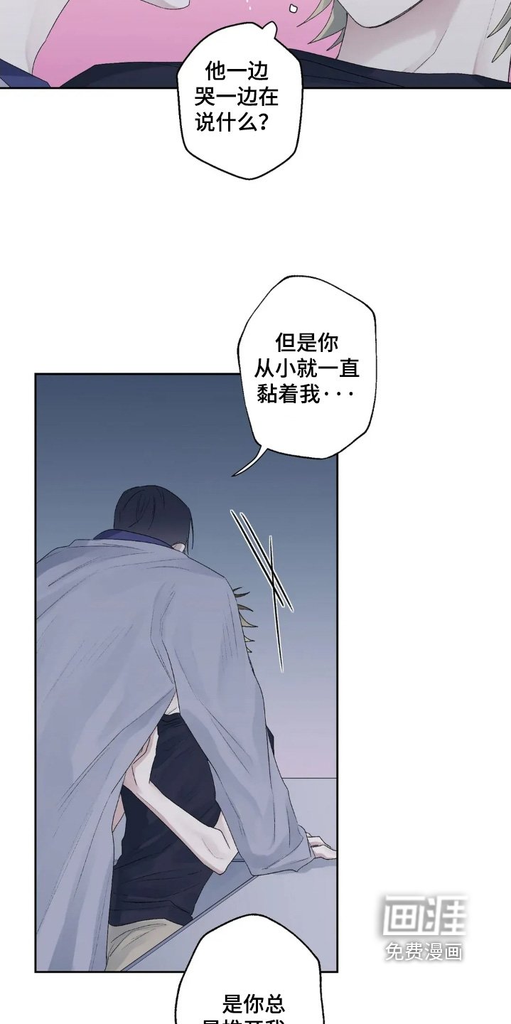 第39章：最喜欢你了