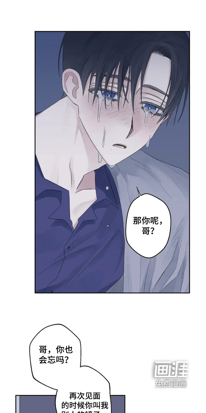 第39章：最喜欢你了