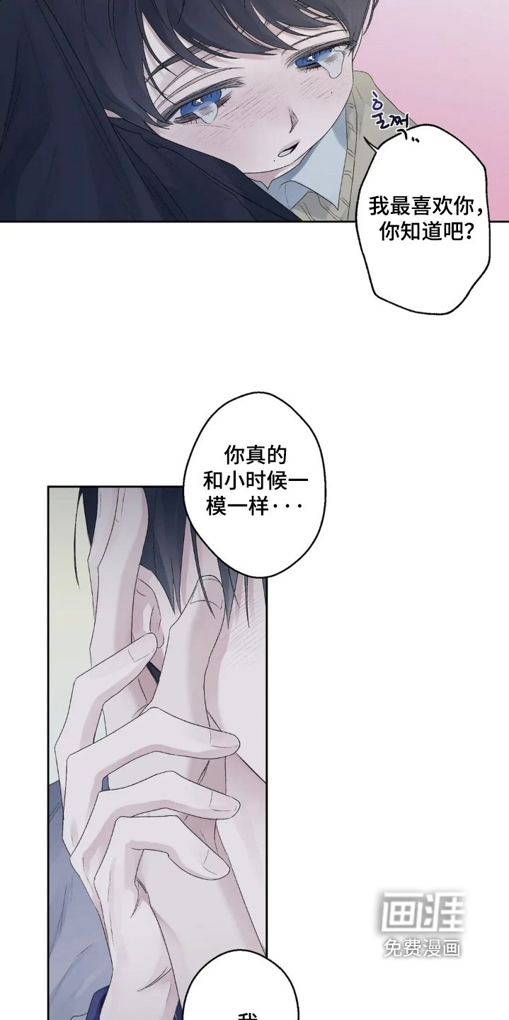 第39章：最喜欢你了