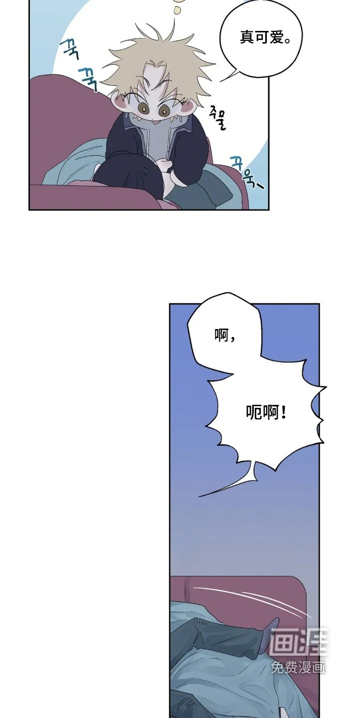 第41章：继续睡觉