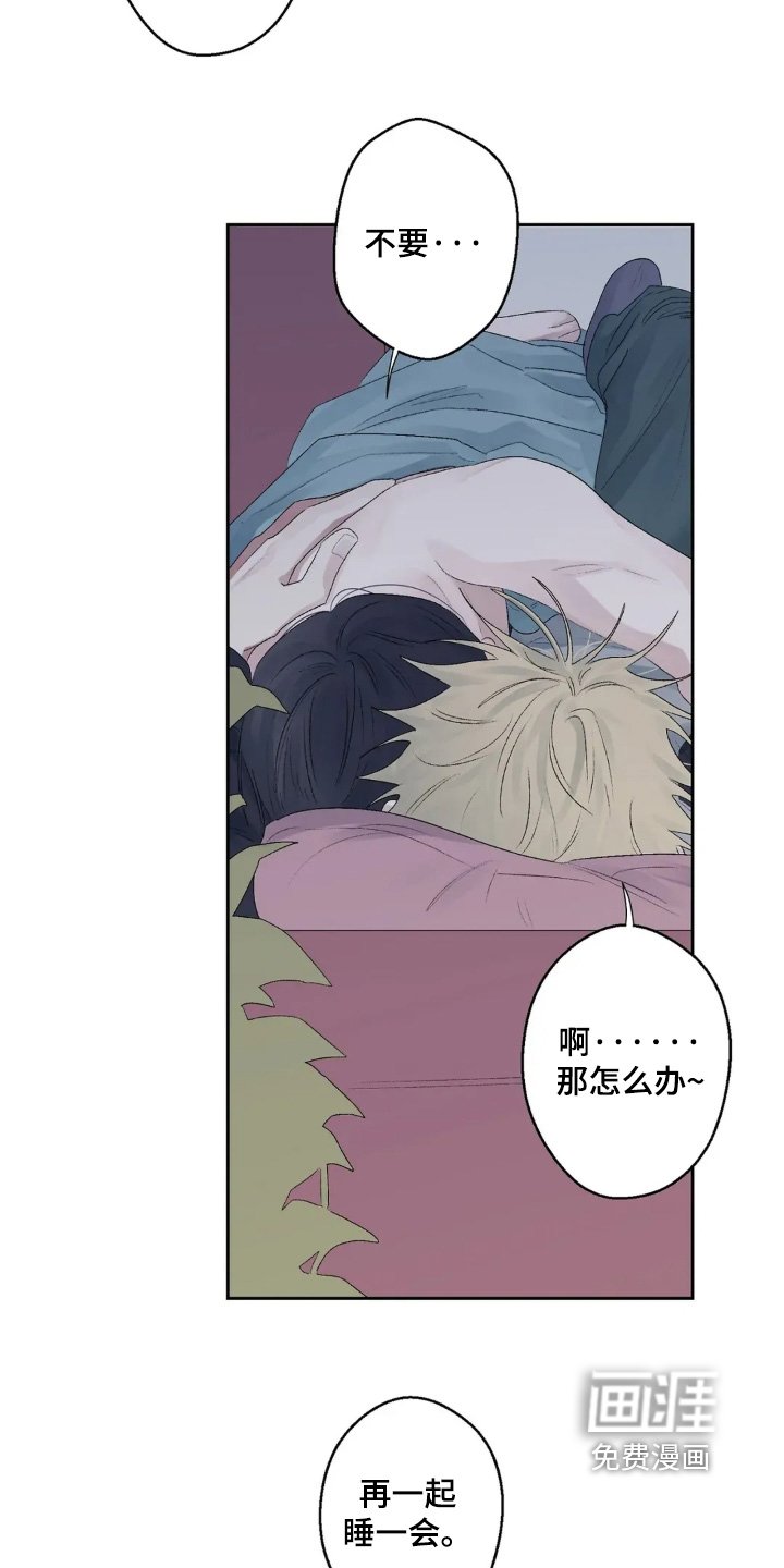 第41章：继续睡觉