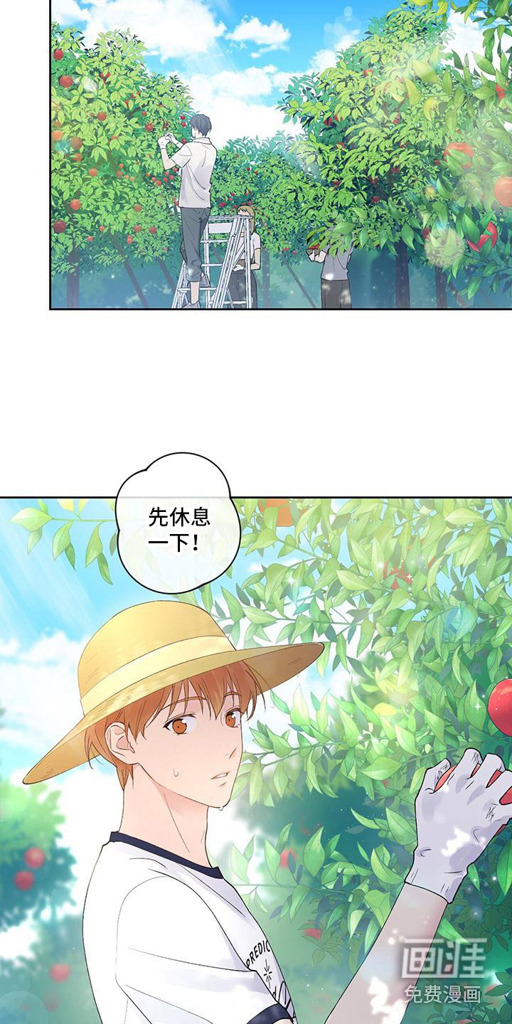 第14章：摘苹果