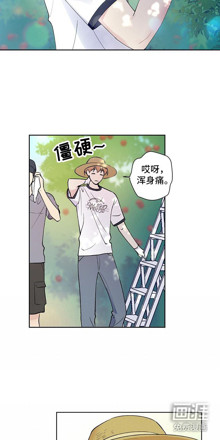 第14章：摘苹果