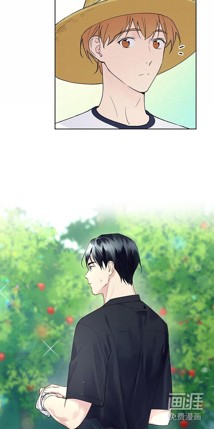 第14章：摘苹果
