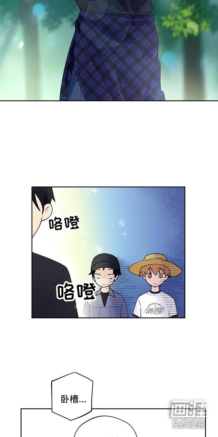 第14章：摘苹果