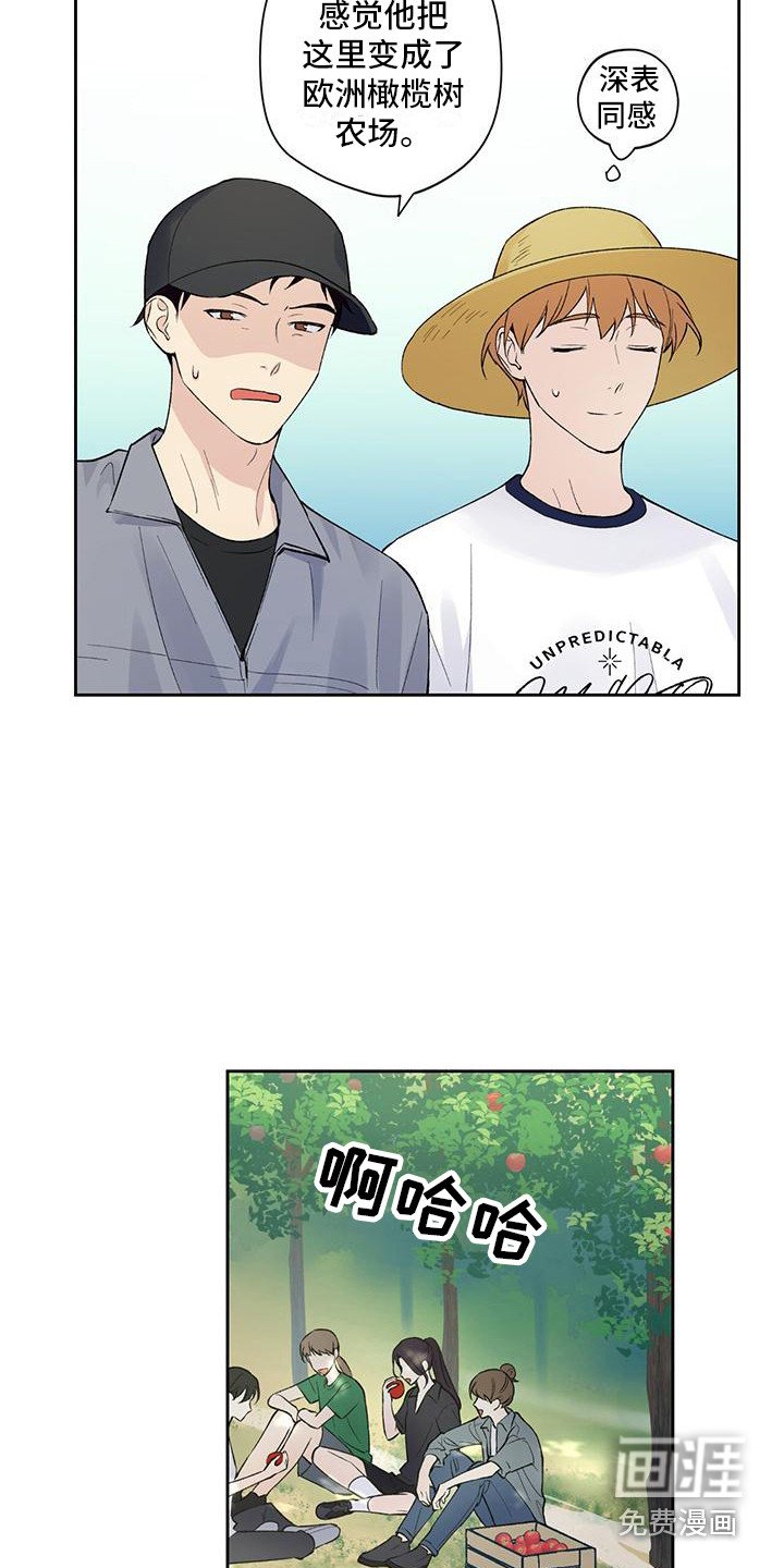 第14章：摘苹果