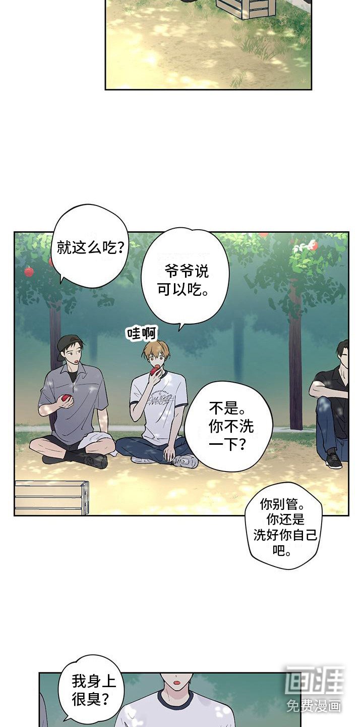 第14章：摘苹果