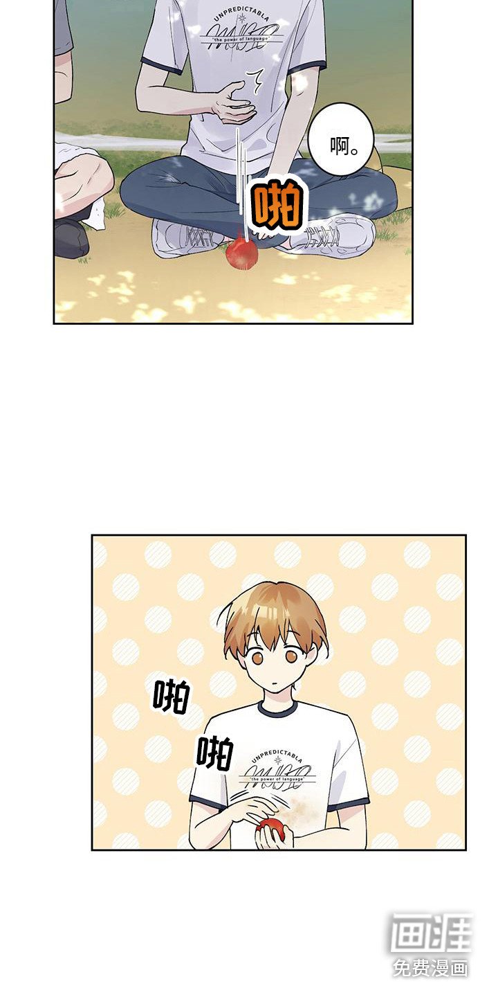 第14章：摘苹果
