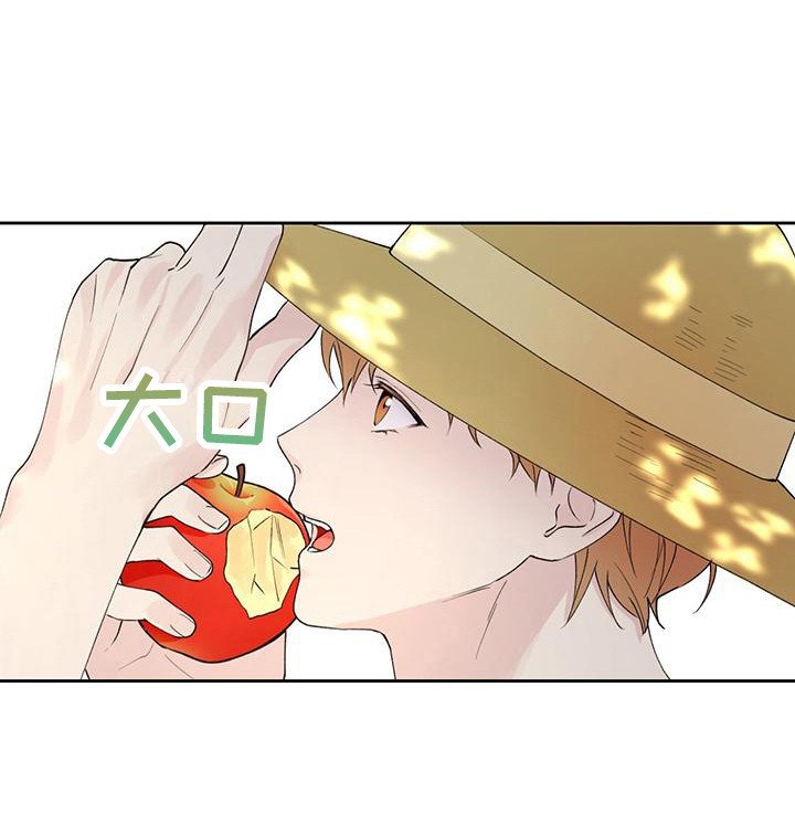 第15章：没有变化