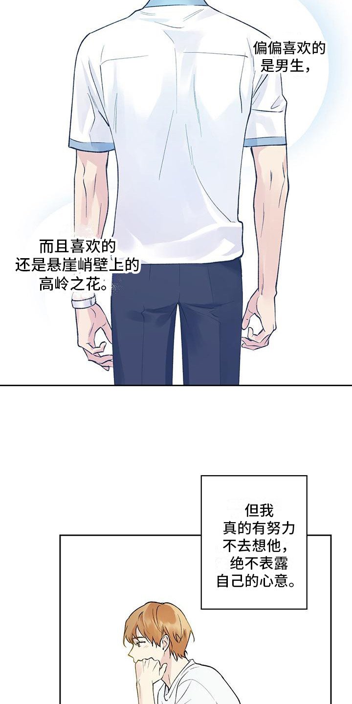 第3章：隐藏心意