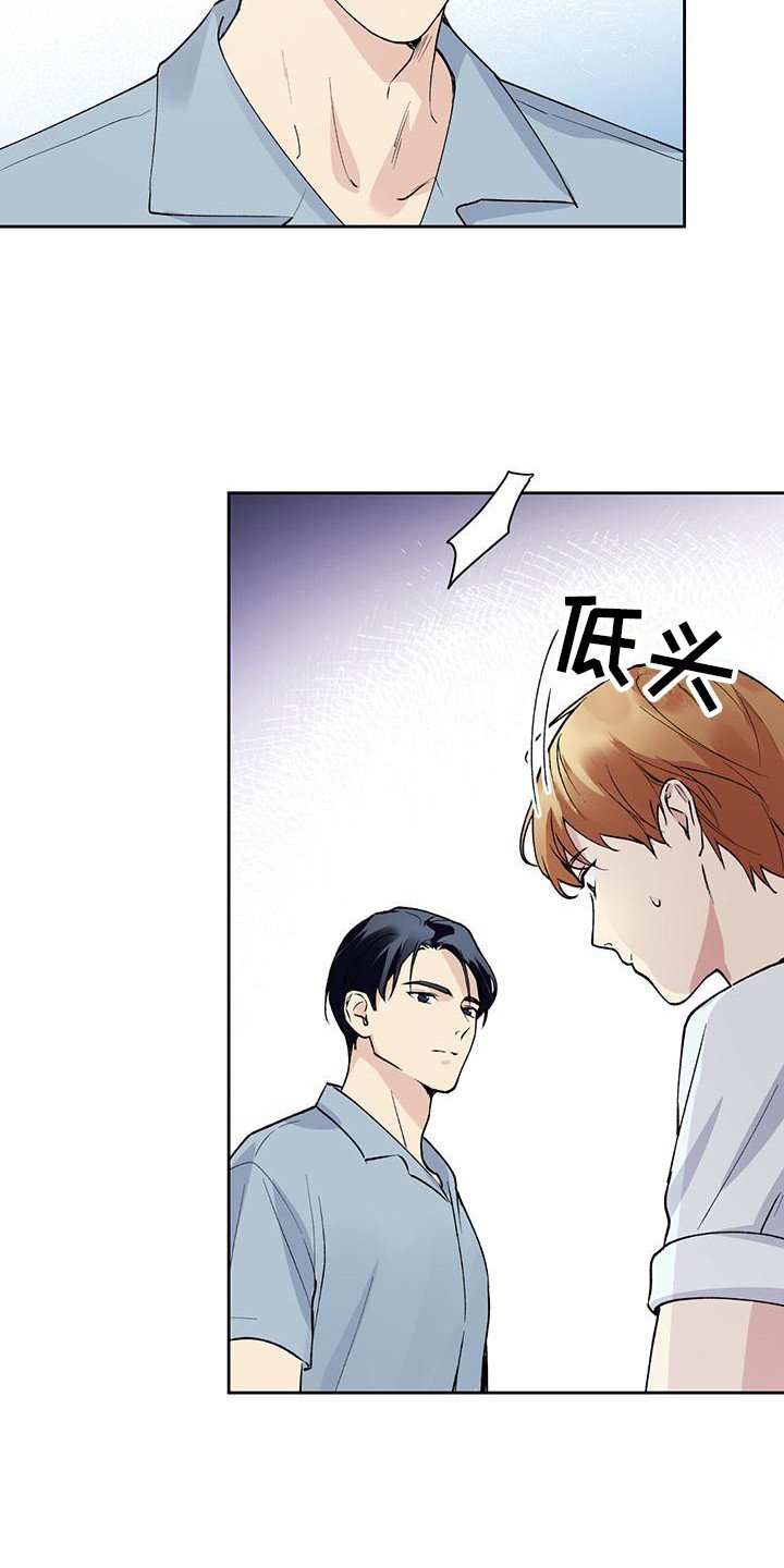 第3章：隐藏心意
