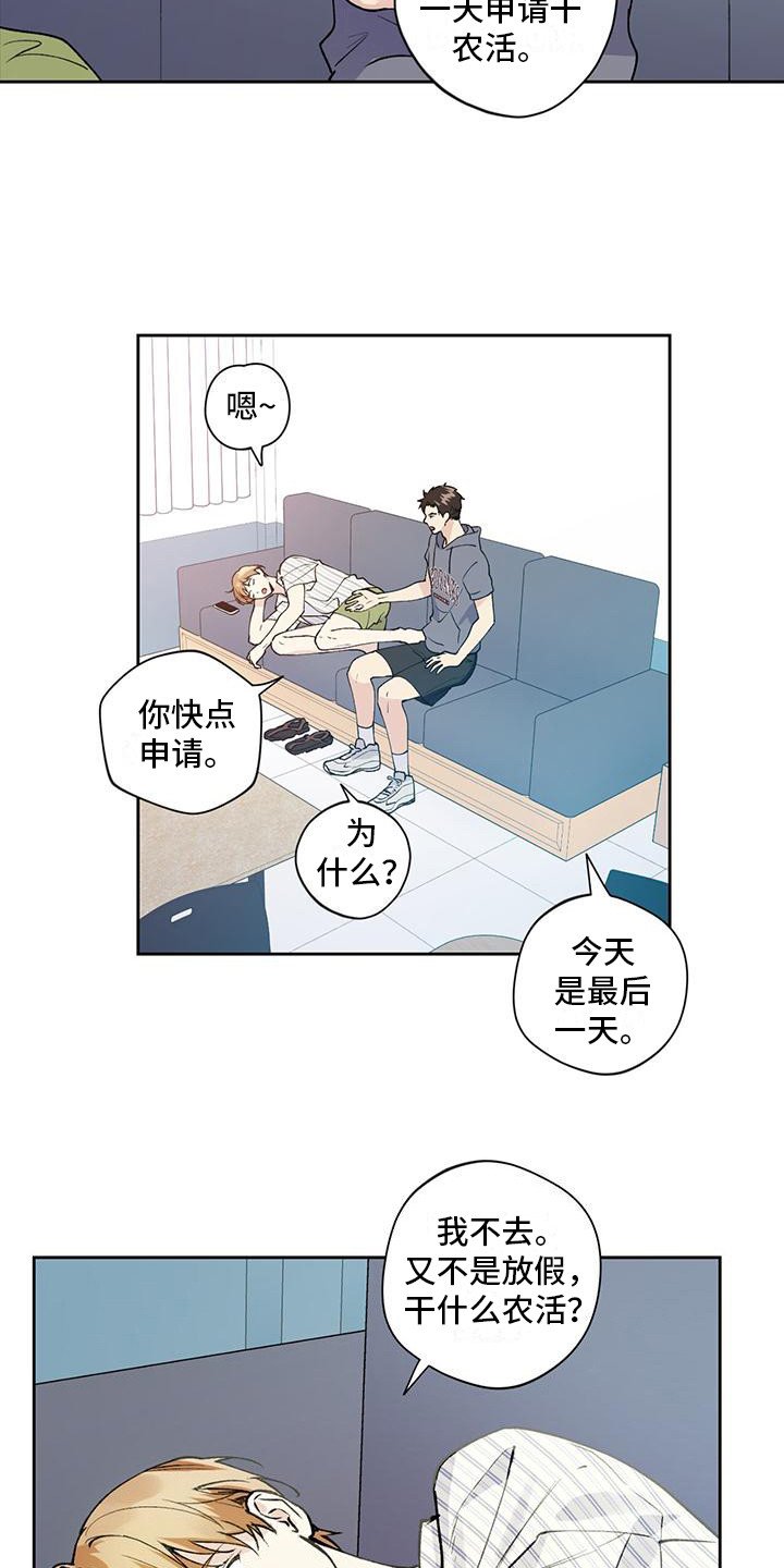第3章：隐藏心意
