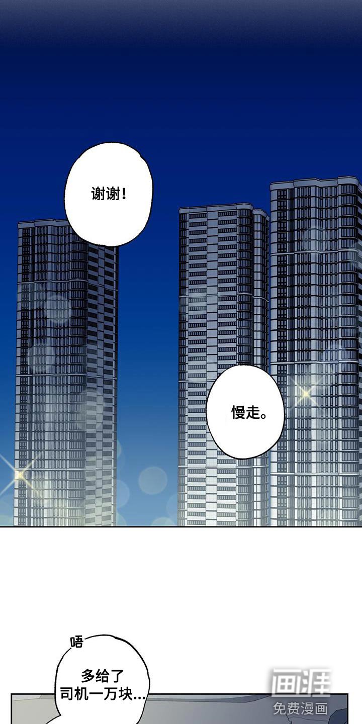 第38章：送回家