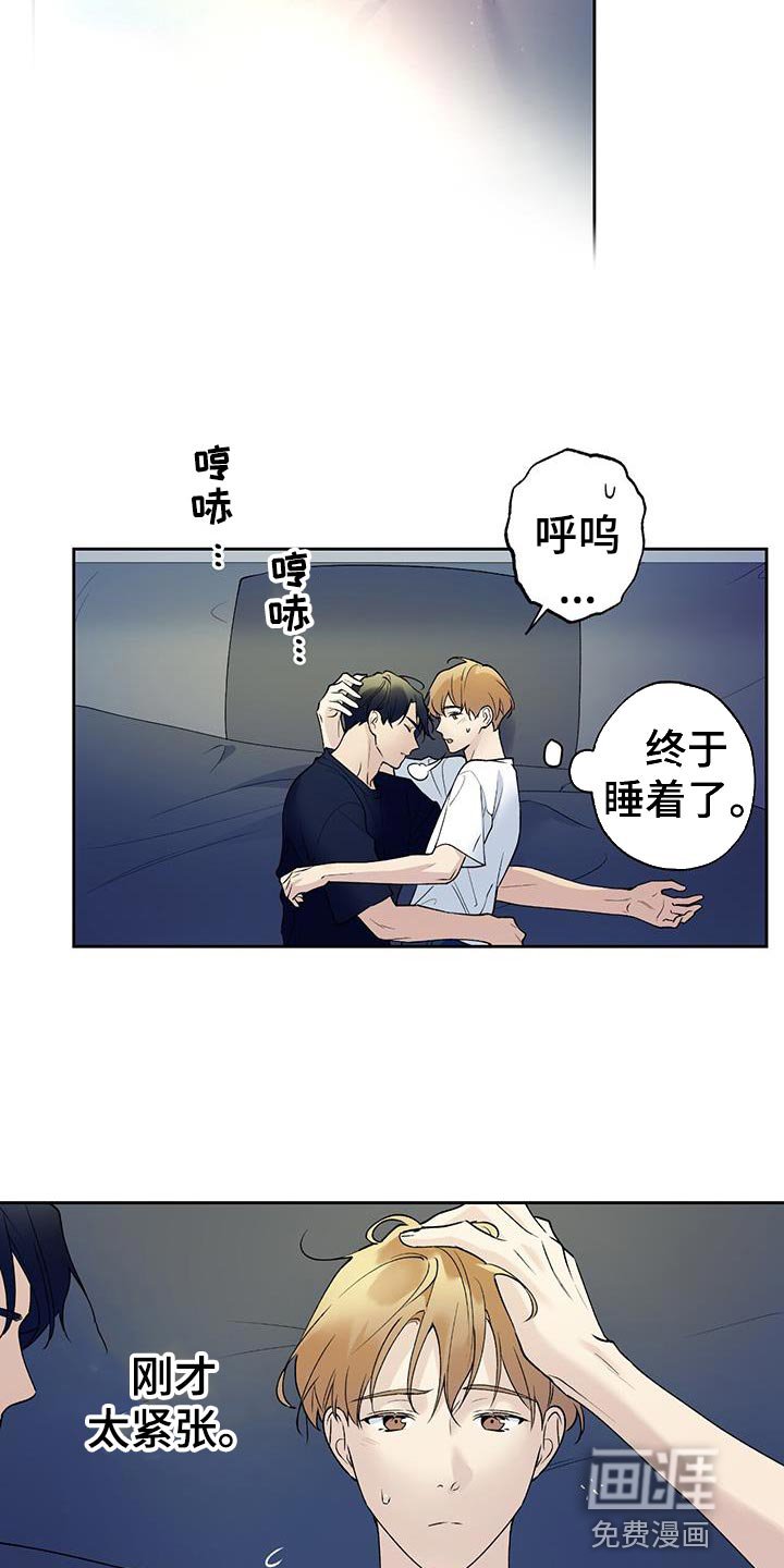 第40章：下一个步骤